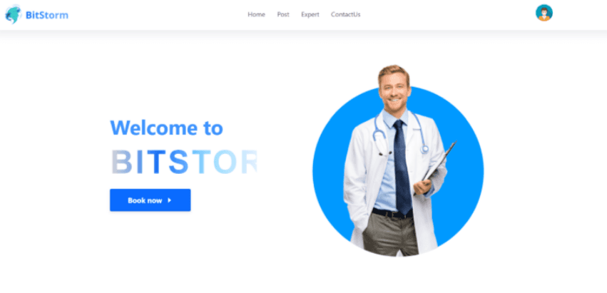 Bitstorm website project