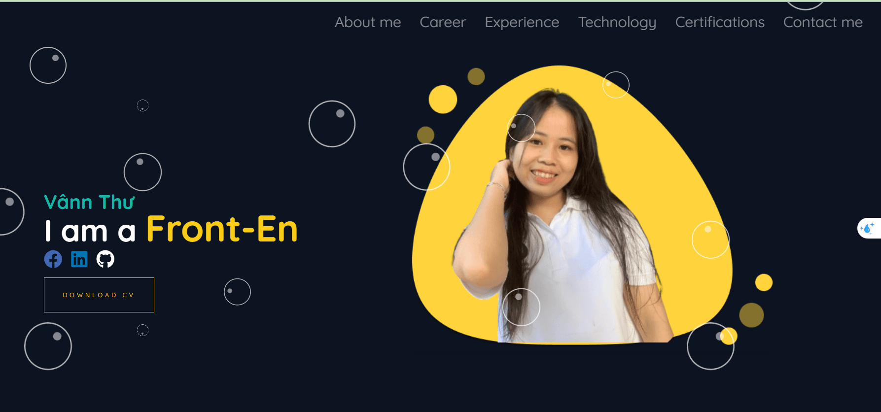 Portfolio project